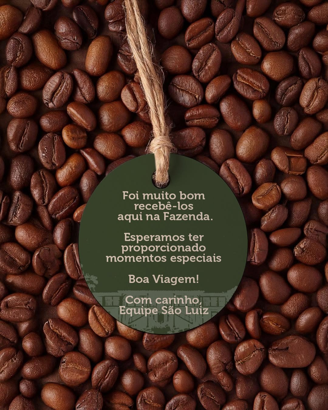 Café Du Museu — Sistema Visual